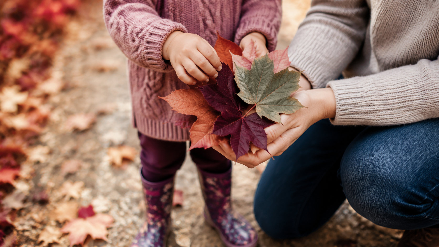 A child and adult hold colorful autumn leaves together on a fall walk